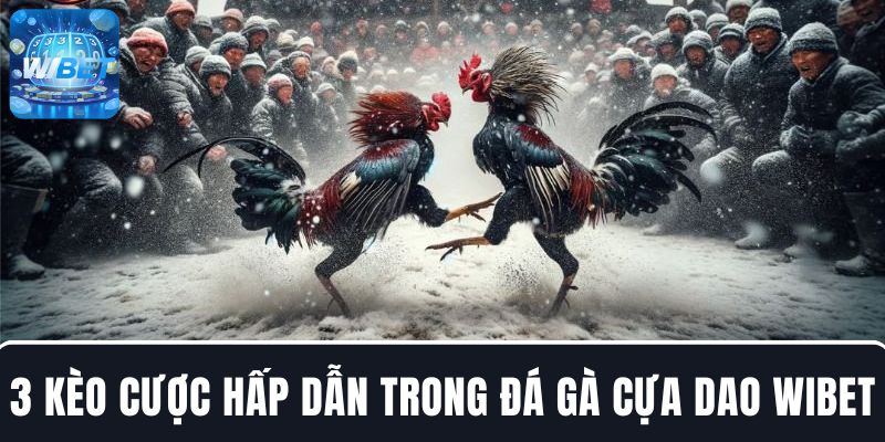 3 Kèo cược hấp dẫn mang cơ hội thắng lớn trong đá gà cựa dao WIBET