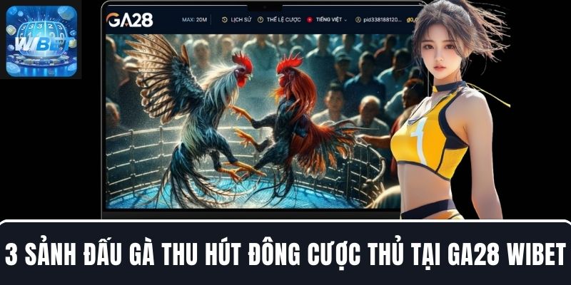 3 sảnh đấu gà thu hút đông cược thủ tại GA28 WIBET