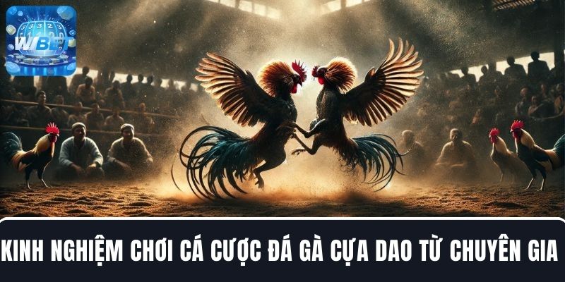 Bỏ túi các kinh nghiệm chơi cá cược đá gà cựa dao từ chuyên gia