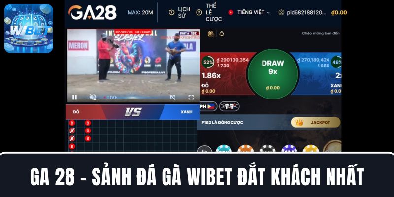 GA28 - Sảnh đá gà “ăn khách” nhất tại nhà cái WIBET
