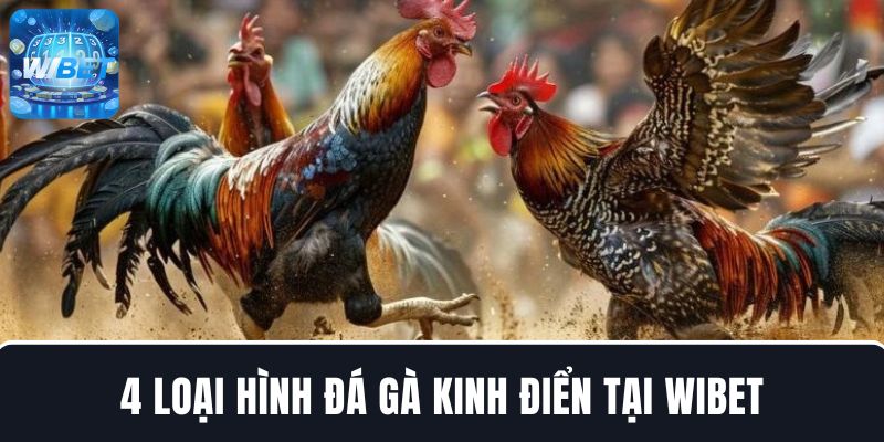 Khám phá 4 loại hình đá gà WIBET kinh điển nhất